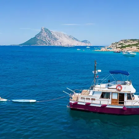 船上ホテル Upupa Sailing A Night Onboard!